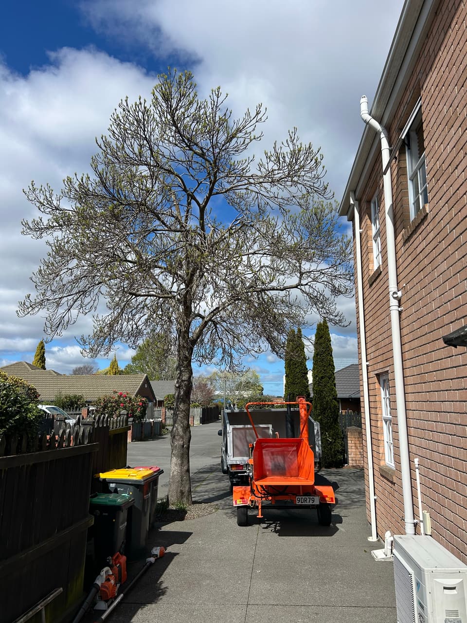 Stump grinder on a driveway ready to grind out a tree stump