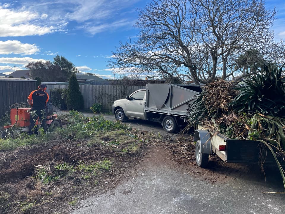 Stump grinding and section clearance with the ute and trailer